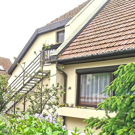 Ambient Deluxe Apartman Gyula Exterior photo